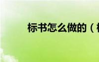 标书怎么做的（标书怎么写的好）