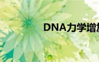 DNA力学增加了一些策略