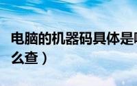 电脑的机器码具体是哪一个（电脑的机器码怎么查）