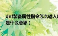 dnf装备属性指令怎么输入哪个键（dnf装备属性指令输入是什么意思）