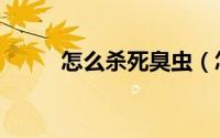 怎么杀死臭虫（怎么杀死大水蚁）