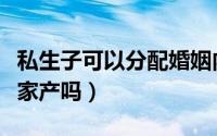 私生子可以分配婚姻内财产吗（私生子可以分家产吗）