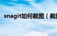 snagit如何截图（截图软件Snagit的使用）
