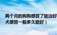 两个月的狗狗感冒了能治好不（2个月狗狗感冒能自愈吗幼犬感冒一般多久能好）