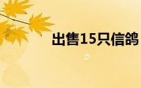出售15只信鸽（出售报废车）
