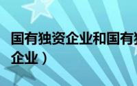 国有独资企业和国有独资公司区别（国有独资企业）