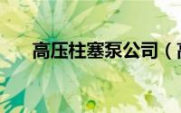 高压柱塞泵公司（高压柱塞泵的特点）