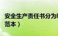 安全生产责任书分为哪三级（安全生产责任书范本）