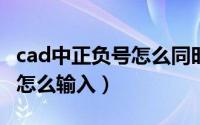 cad中正负号怎么同时打出来（CAD中正负号怎么输入）