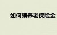 如何领养老保险金（如何领养流浪猫）