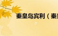 秦皇岛宾利（秦皇岛宾利撞捷达）