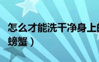 怎么才能洗干净身上的污垢（怎么才能洗干净螃蟹）