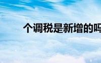个调税是新增的吗（个调税起征点）
