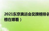 2021东京奥运会奖牌榜排名乒乓球（2021东京奥运会奖牌榜在哪看）