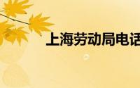 上海劳动局电话（上海劳动局）