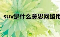 suv是什么意思网络用语（suv是什么意思）