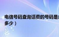 电信号码查询话费的号码是多少（电信话费电话查询号码是多少）