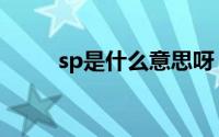 sp是什么意思呀（sp是什么意思）