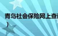 青岛社会保险网上查询系统（青岛社会保险网）