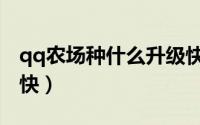 qq农场种什么升级快（qq农场种什么升级最快）