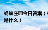 蚂蚁庄园今日答案（蚂蚁庄园新鲜的鸡蛋答案是什么）