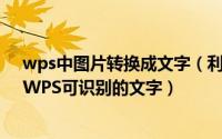 wps中图片转换成文字（利用WPS文字将图片文字转换为WPS可识别的文字）