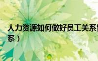 人力资源如何做好员工关系管理（人力资源如何做好员工关系）