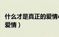 什么才是真正的爱情小短片（什么才是真正的爱情）