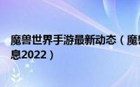 魔兽世界手游最新动态（魔兽世界手游官网公测时间最新消息2022）