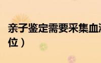 亲子鉴定需要采集血液还是毛发（亲子鉴定价位）
