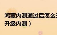 鸿蒙内测通过后怎么升级（鸿蒙系统如何申请升级内测）