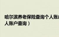 哈尔滨养老保险查询个人账户查询（哈尔滨养老保险查询个人账户查询）