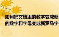 如何把文档里的数字变成新罗马字体（如何把Word文档中的数字和字母变成新罗马字体）