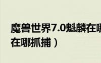 魔兽世界7.0魁麟在哪抓（魔兽世界魁麟雷炙在哪抓捕）