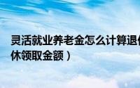 灵活就业养老金怎么计算退休领取金额（养老金怎么计算退休领取金额）