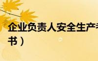 企业负责人安全生产考核证（企业负责人任命书）