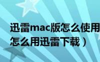 迅雷mac版怎么使用（Mac迅雷怎么用 Mac怎么用迅雷下载）
