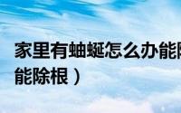 家里有蚰蜒怎么办能除根（家里有蚰蜒怎么办能除根）