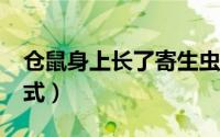 仓鼠身上长了寄生虫怎么办（css设超链接样式）
