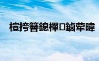 楦挎簮鎴樿鏀荤暐（鸿源战记心得评测）