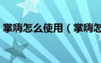掌嗨怎么使用（掌嗨怎么设置添加我的方式）