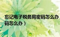 忘记电子税务局密码怎么办（电子办税网上税务大厅忘记密码怎么办）