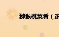 猕猴桃菜肴（家常菜猕猴桃汁）