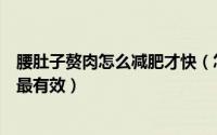 腰肚子赘肉怎么减肥才快（怎么瘦肚子脂肪和腰上赘肉最快最有效）