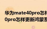 华为mate40pro怎样更新鸿蒙（华为mate40pro怎样更新鸿蒙系统）