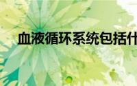 血液循环系统包括什么（血液循环系统）