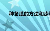 种冬瓜的方法和步骤（种冬瓜的方法）