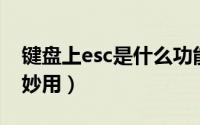 键盘上esc是什么功能（键盘上ESC键的五大妙用）