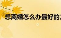 想离婚怎么办最好的方式（想离婚怎么办）