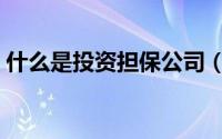 什么是投资担保公司（什么是投资担保公司）